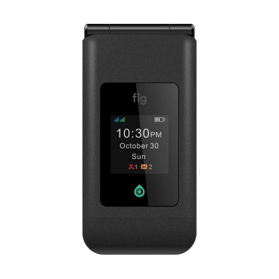 Fig 2 Mini 64 GB