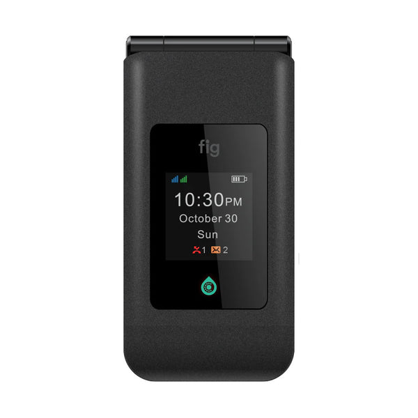Fig 2 Mini 64 GB